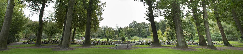 Bij Crematoria Twente werken we graag met u en de door u gekozen uitvaartonderneming samen om alle wensen rondom de afscheidsplechtigheid vorm te geven. 