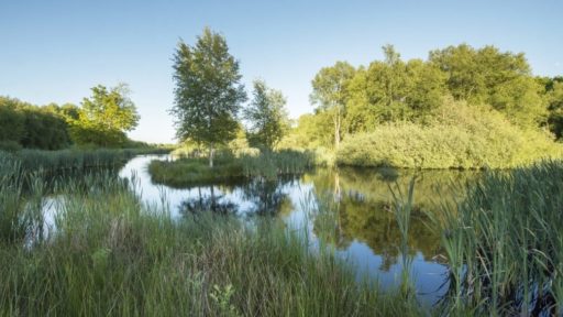 Open dag natuurbegraafplaats Hillig Meer